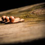 img-05