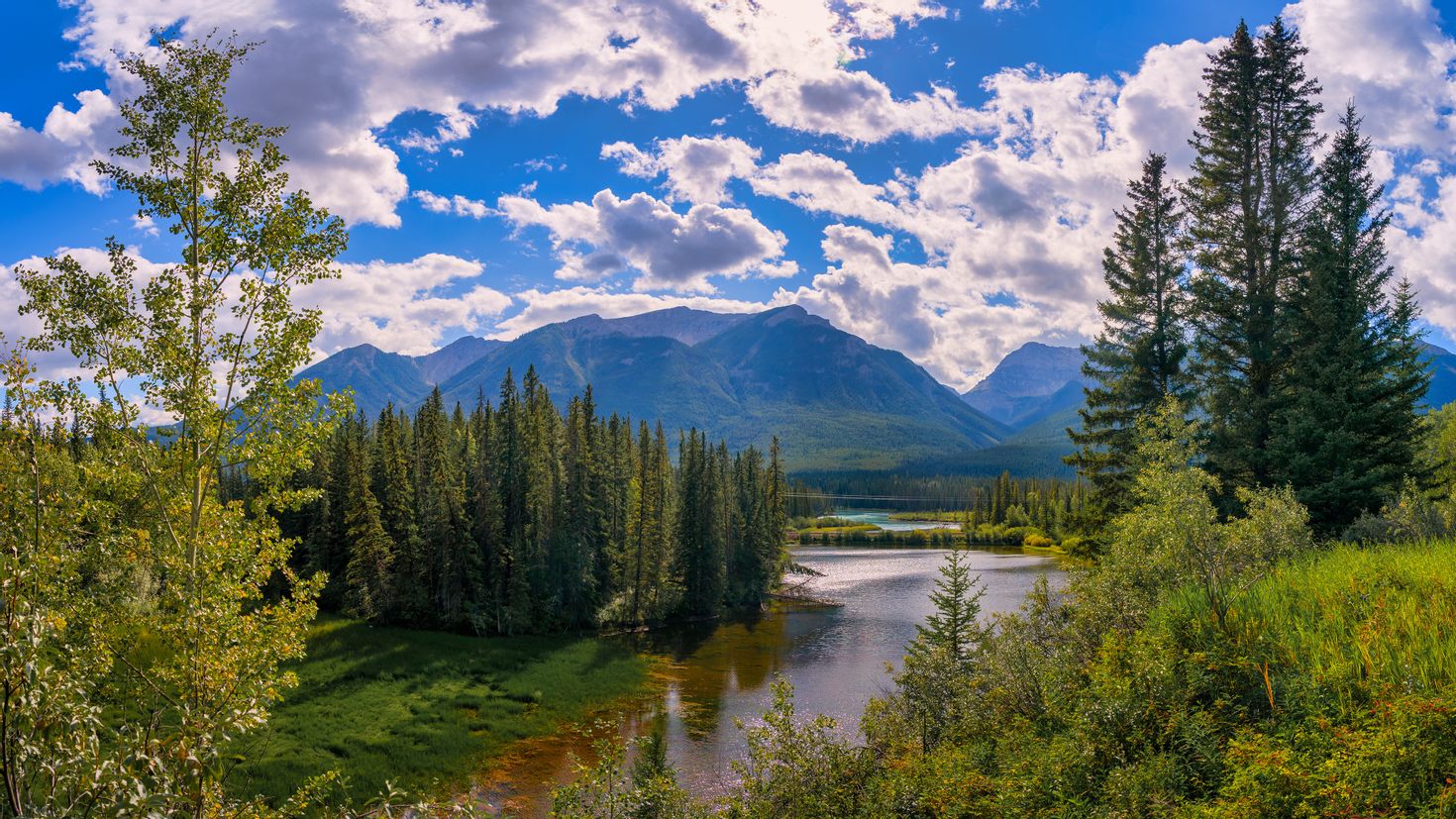 Nature