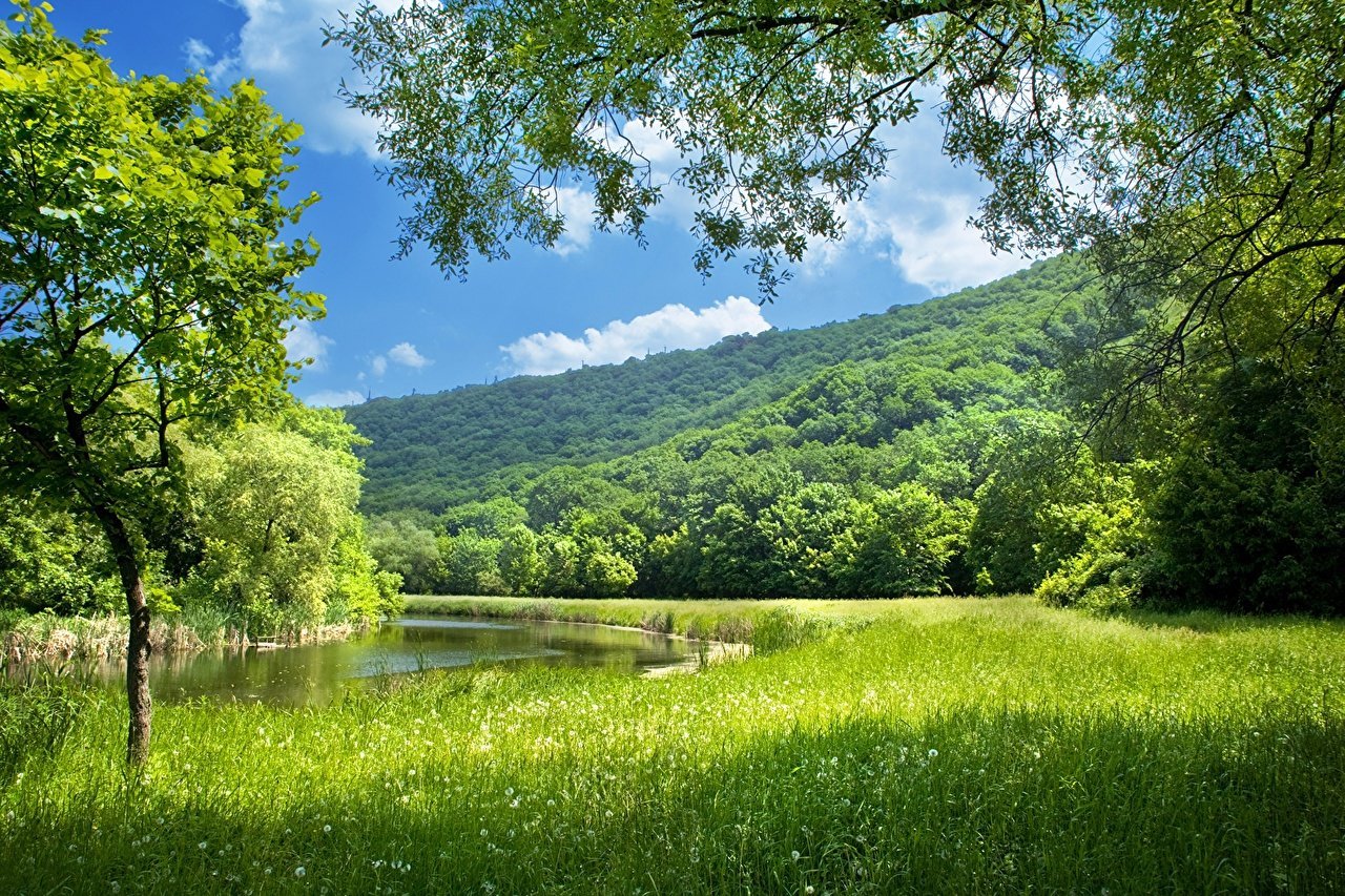 Nature